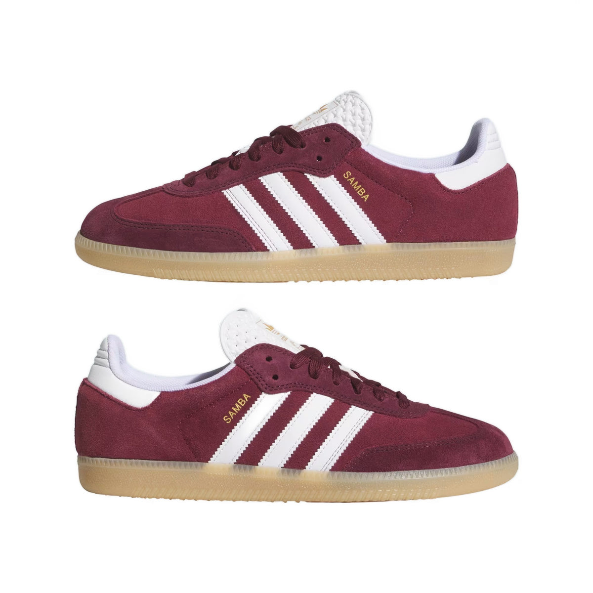 Samba ADV Burgundy